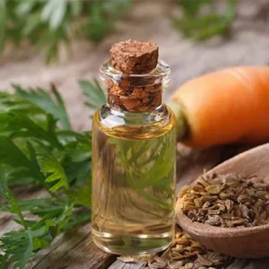 Carrot Oil (Infused)