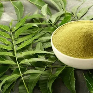Neem Powder