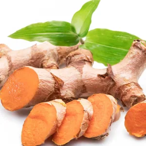 Turmeric Oil (CO2 Extract)